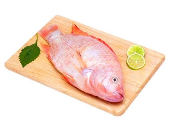Cá diêu hồng sống 0,5 kg/con