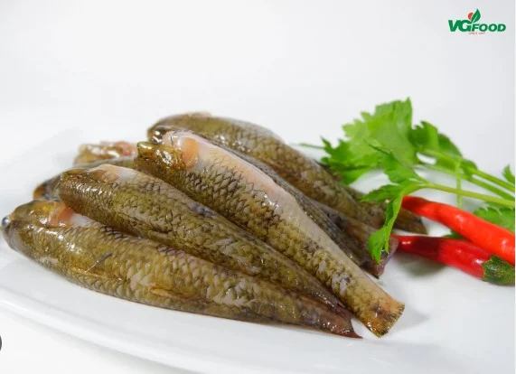 Cá Bống biển làm sạch