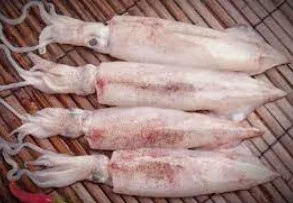 Mực ống nguyên con 30-35 con/kg