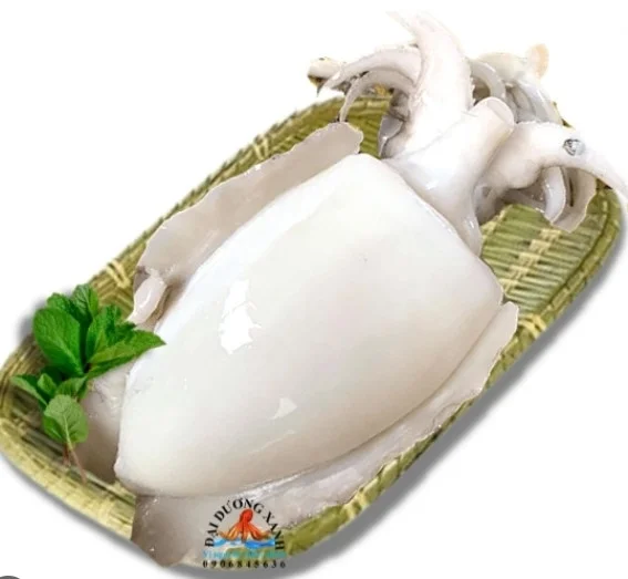 Mực nang không đầu 10-12 con/kg