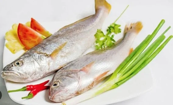 Cá đù làm sạch 14-16con/kg