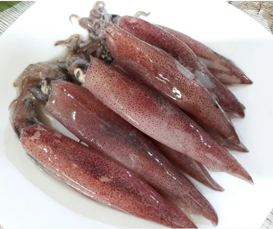 Mực trứng