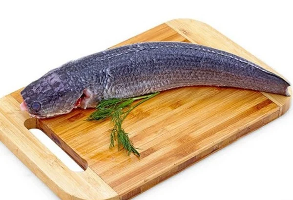 Cá lóc bông không đầu 0,8-1kg/con