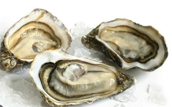 Hào biển con nhỏ