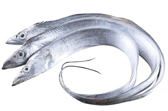 Cá Hố Nguyên Con 5-7con