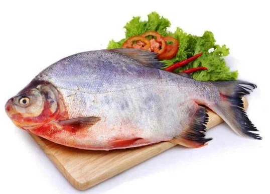 Cá chim nuôi làm sạch 600-800gr/con