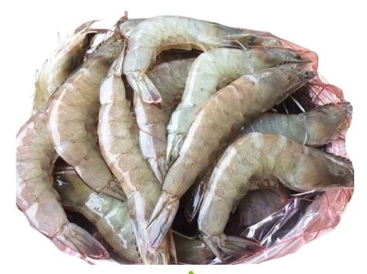Tôm thẻ tp 30-35 con