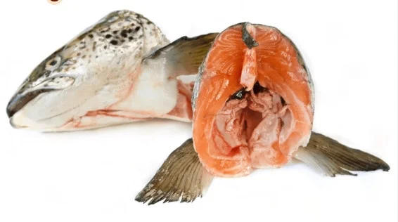 Đầu cá hồi (20kg/Thùng)