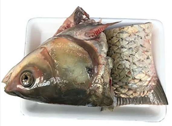Đầu cá trắm cỏ