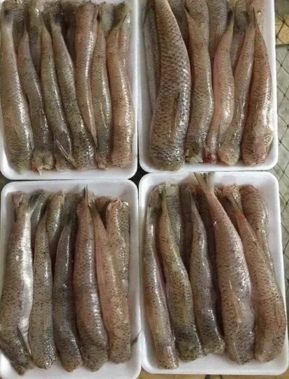 Cá Bống biển làm sạch không đầu (30-40con/kg)