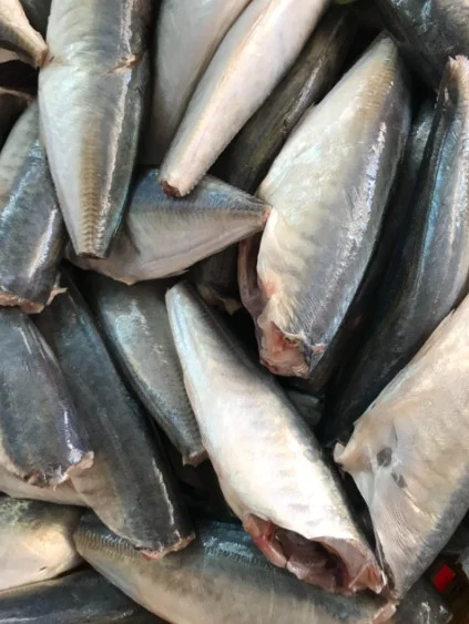 Cá nục làm sạch 8-9 con/kg
