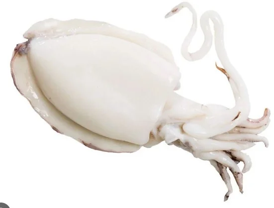 Mực nang có đầu 8con/kg