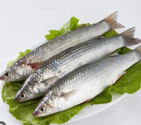 Cá đối làm sạch 18-22 con/kg