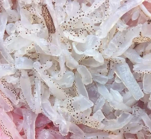 Sứa làm sạch