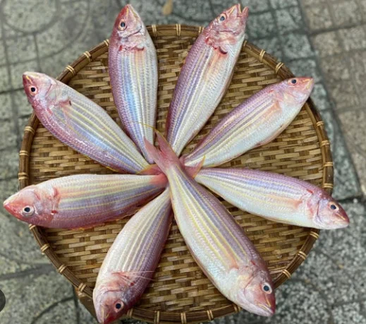 Cá đổng lai làm sạch 10-12 con/kg