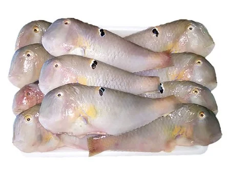 Cá mó làm sạch 18-20 con/kg