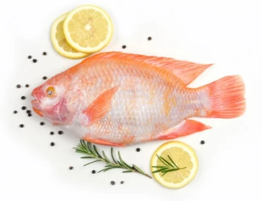 Cá điêu hồng 2con/kg làm sạch