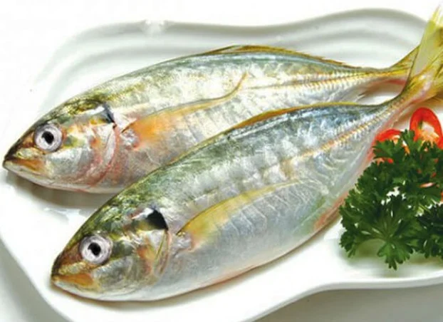 Cá Bạc má 10-12 con/kg