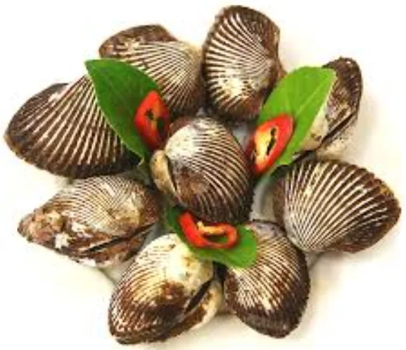 Sò lông
