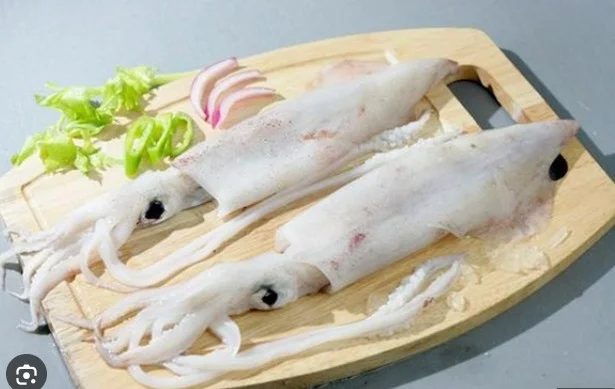Mực ống 18-20con/kg