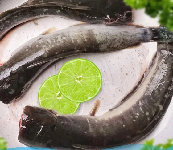 Cá trê kđ 2,3c cắt qua sọ, sạch ruột cắt đuôi