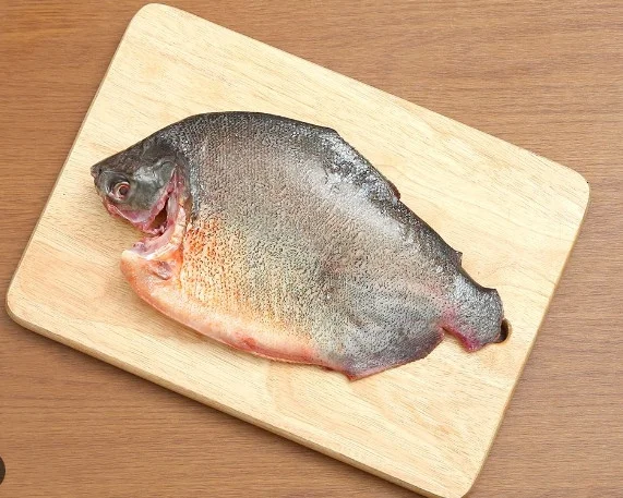 Cá chim nuôi làm sạch 350-500gr/con