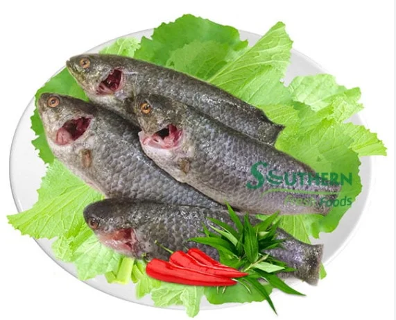 Cá rô đồng ls 10-12 con/kg