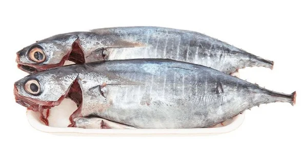 Cá ngừ làm sạch 2-3 con/kg