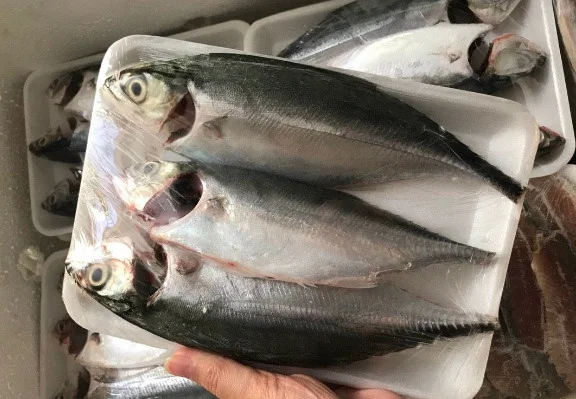 Cá ngân làm sạch (8-10con)