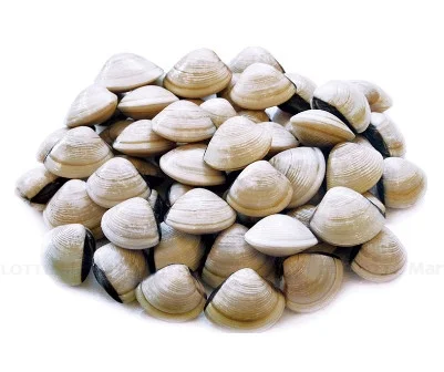 Nghêu lớn 30-40 con*