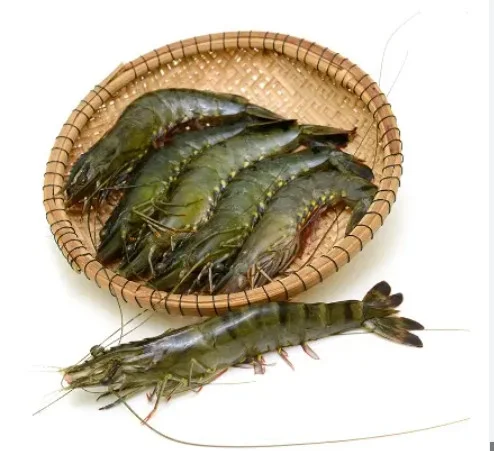 Tôm sú sống oxy 35-40 con/kg
