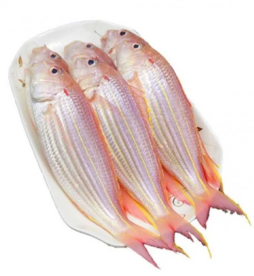 Cá Đổng Lai nguyên con 10-12con/kg
