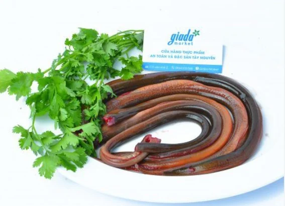 Lươn làm sạch không đầu