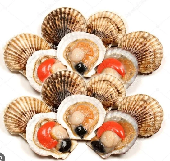 Sò điệp