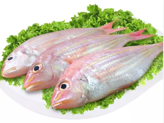 Cá Hường nguyên con 10-12con/Kg