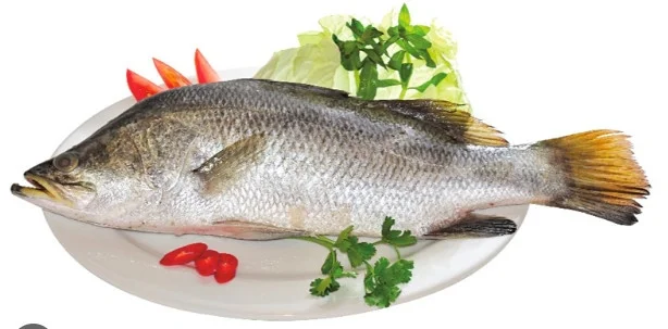 Cá chẽm