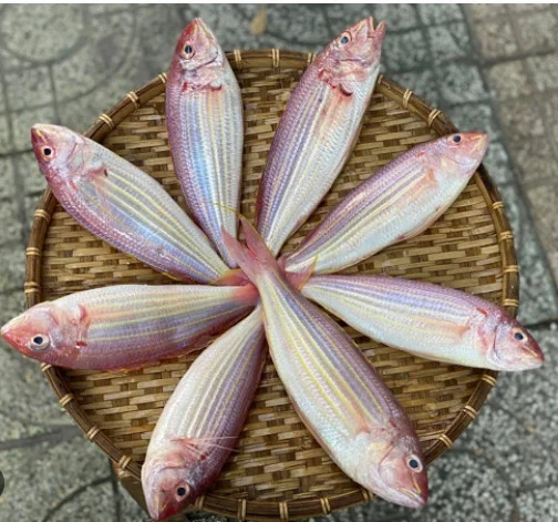 Cá đổng lai làm sạch 8-9con/kg đặc biệt