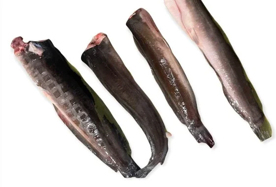 Cá trê không đầu lớn 1-1.5kg/con