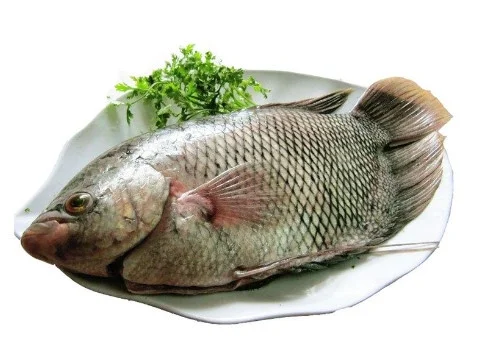 Cá Tai tượng làm sạch