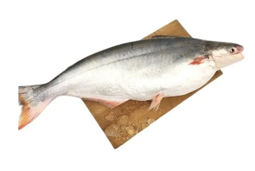 Cá bông lau làm sạch
