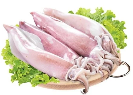 Mực ống làm sạch 7-8 con/kg