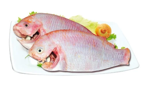 Cá diêu hồng làm sạch 600-800gr/con