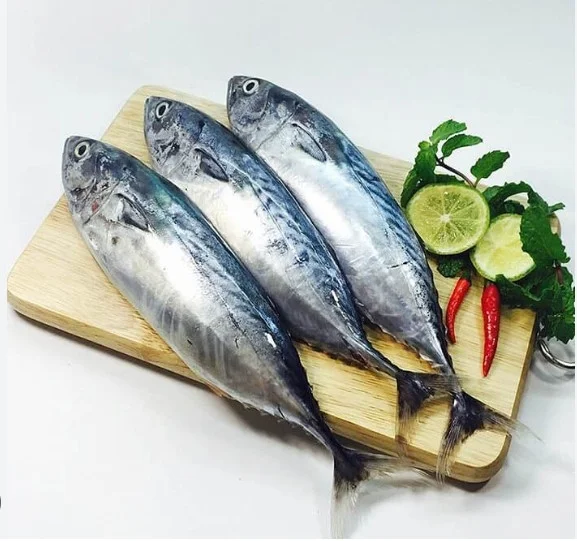 Cá ngừ kđ 500-700gr cắt qua sọ sạch ruột, vây