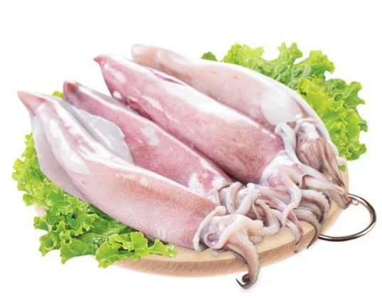 Mực ống 9-10 nguyên con tươi