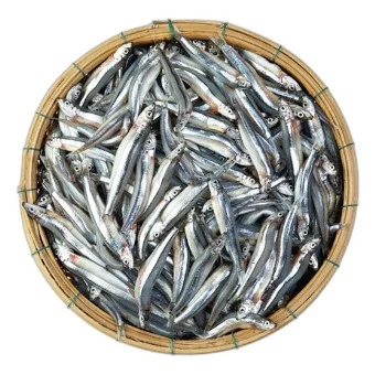 Cá cơm biển cắt đầu nhỏ