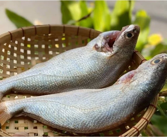 Cá đù làm sạch 10-11con/kg