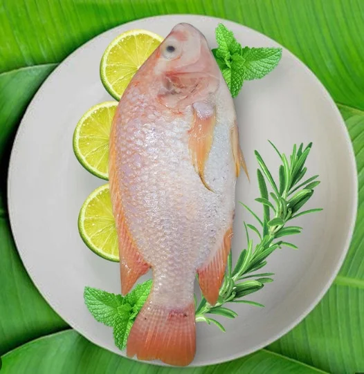 Cá diêu hồng làm sạch 2con/kg