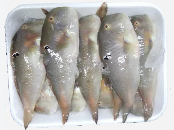 Cá mó nguyên con 25-30con/kg
