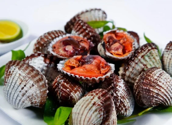 Sò huyết