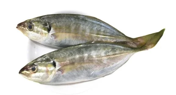 Cá ngân làm sạch 14-18 con/ kg